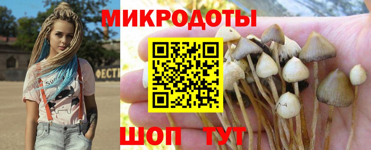 Галлюциногенные грибы Cubensis Мценск